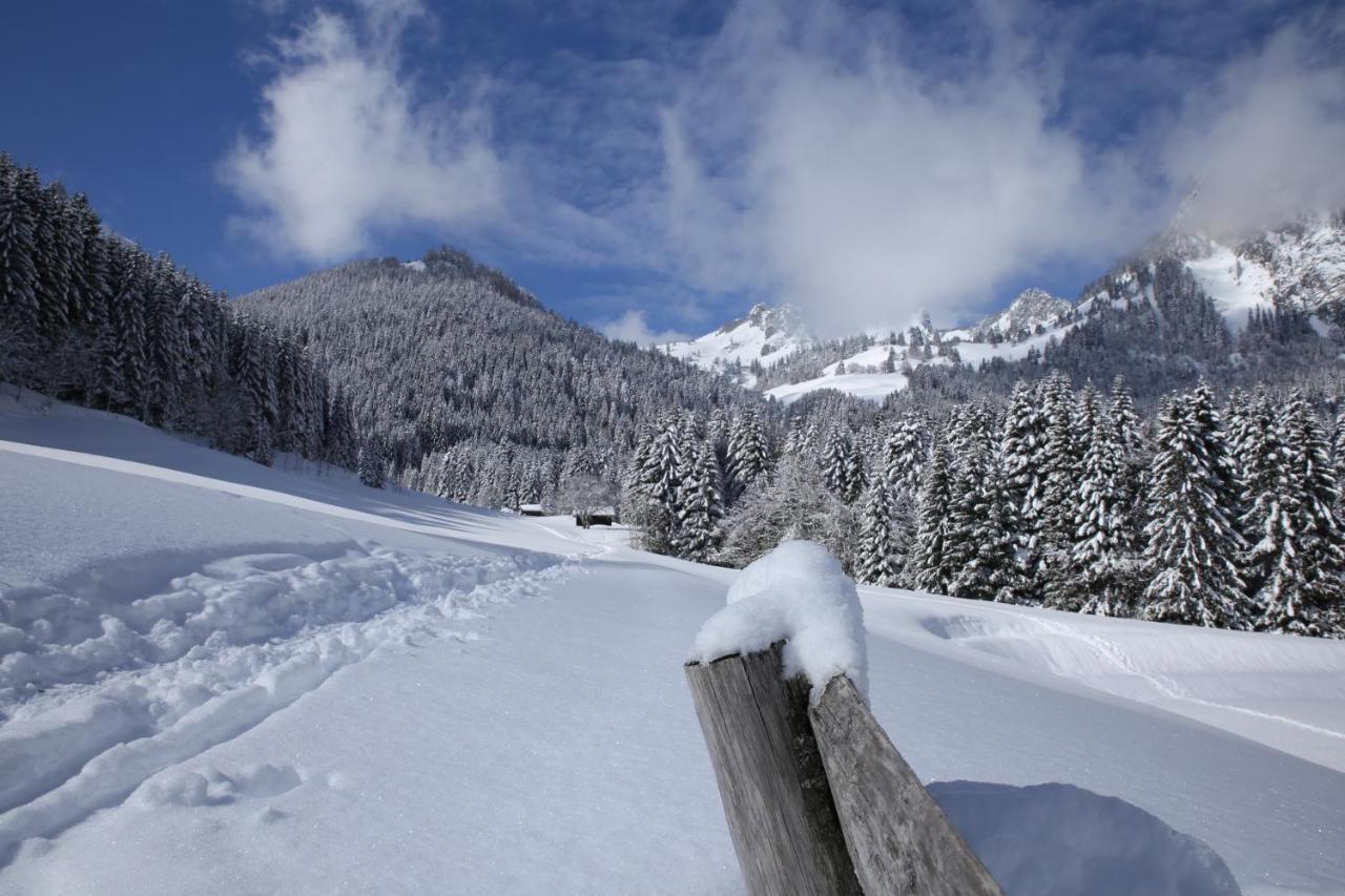 Heerlijke Wandel Of Ski Vakantie In Torgon Portes Du Soleil Ngoại thất bức ảnh